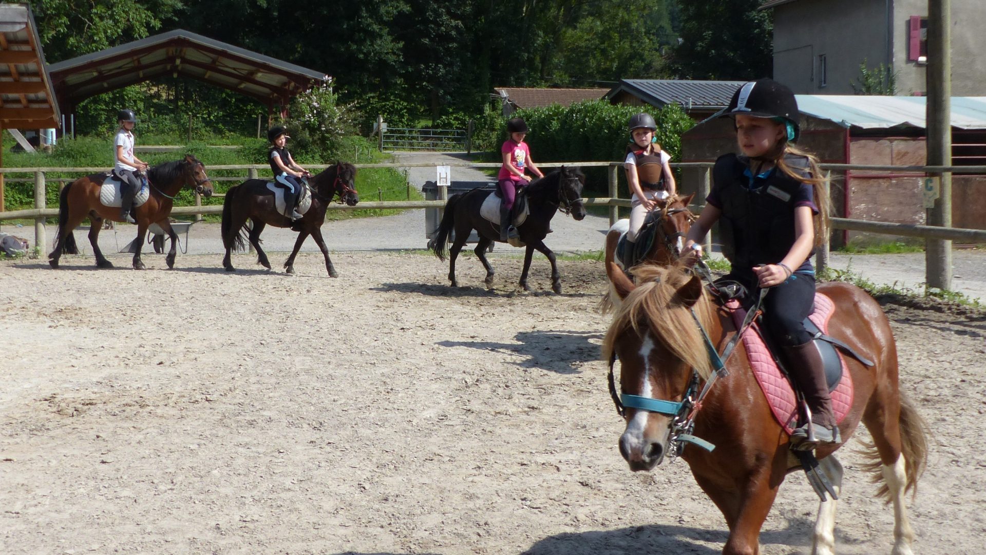 Poney Club De L Etang Ecole D Equitation Pour Tous Proche De Grenoble Et Vizille