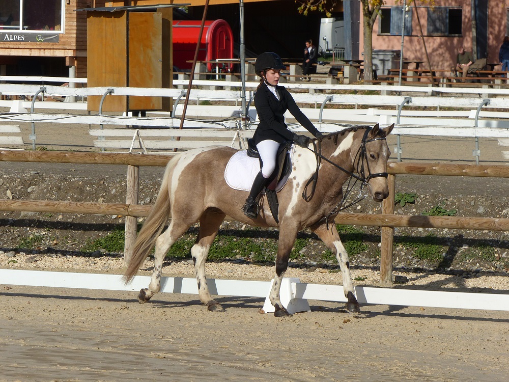 Animatrices Poney Poney Club De L Etang