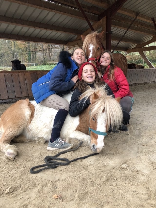 Anniversaires Au Poney Club Poney Club De L Etang