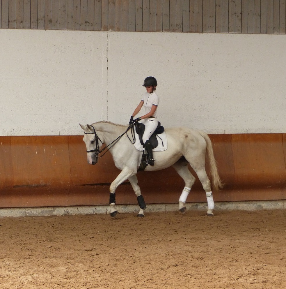 Poney Club De L Etang Ecole D Equitation Pour Tous Proche De Grenoble Et Vizille